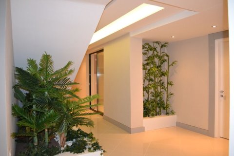 1+1 Wohnung in Alanya, Antalya, Türkei Nr. 216655 - 10