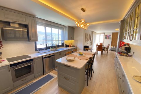 4+2 Villa i Izmir, Turkiet Nr. 223283 - 8