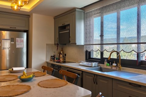 4+2 Villa i Izmir, Turkiet Nr. 223283 - 18