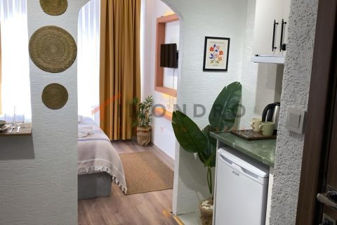 4+1 Villa  i Fatih, Istanbul, istanbul, Turkiet Nr. 237895 - 10