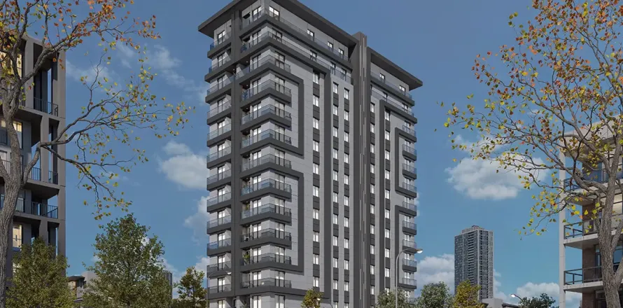 Daire İstanbul, Türkiye №217042