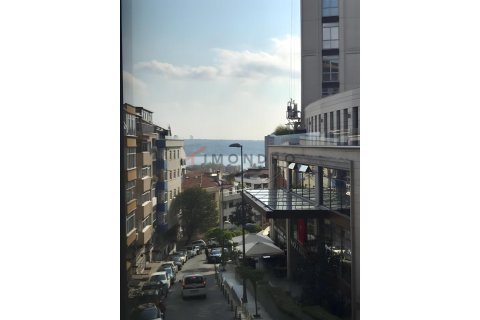 آپارتمان در Besiktas،  Istanbul ، ترکیه 2 خوابه ، 110 متر مربع.  شماره 214839