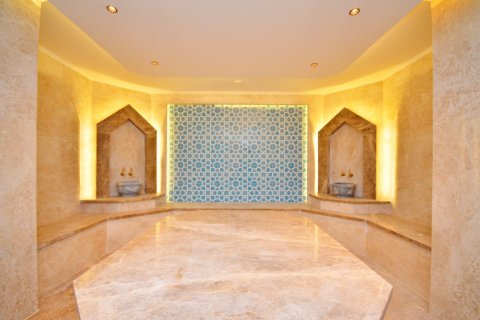 2+1 Lägenhet  i Alanya, Antalya, Turkiet Nr. 216501 - 17