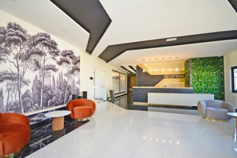 2+1 Lägenhet  i Alanya, Antalya, Turkiet Nr. 216501 - 16