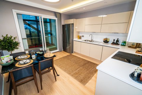 1+1 Lägenhet  i Istanbul, istanbul, Turkiet Nr. 90436 - 9