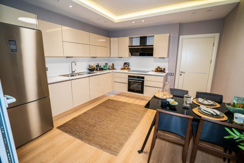 1+1 Lägenhet  i Istanbul, istanbul, Turkiet Nr. 90436 - 8
