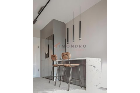 1+1 Lägenhet i Pendik, istanbul, Turkiet Nr. 221207 - 14