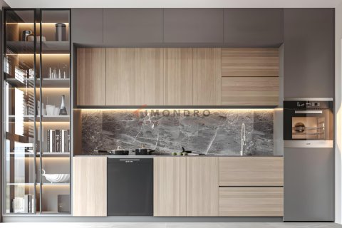 1+1 Lägenhet i Pendik, istanbul, Turkiet Nr. 221207 - 13