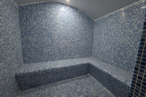 2+1 Leilighet i Alanya, Antalya, Tyrkia Nr. 216880 - 15