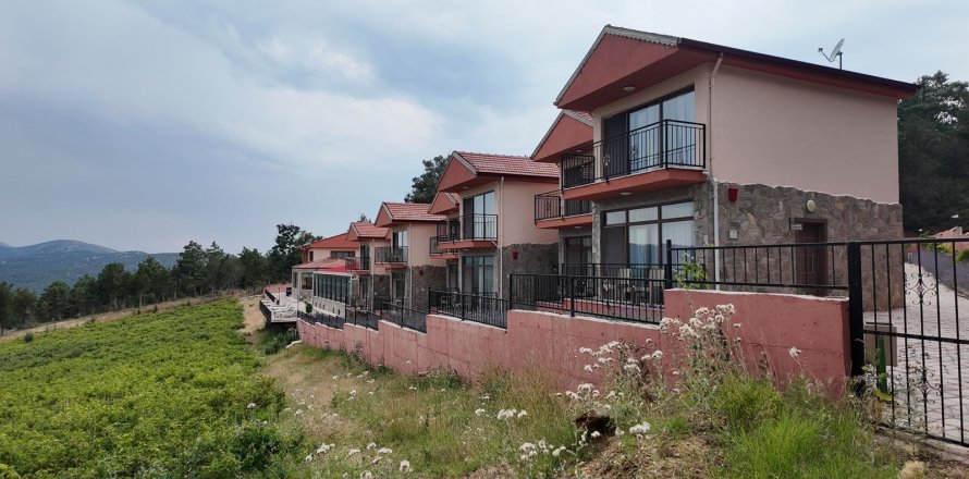   i Antalya, Tyrkiet Nr. 223401