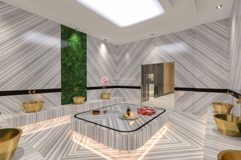 1+1 Lejlighed  i Alanya, Antalya, Tyrkiet Nr. 100629 - 21