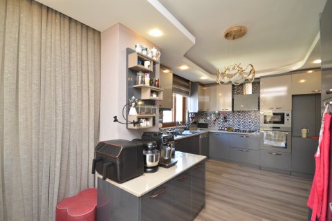 4+1 Leilighet  i Alanya, Antalya, Tyrkia Nr. 216838 - 18