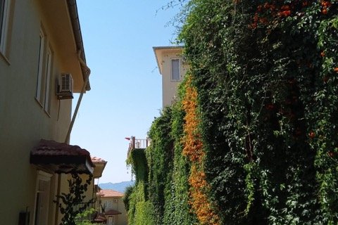 3+1 Villa i Antalya, Tyrkia Nr. 222832 - 6