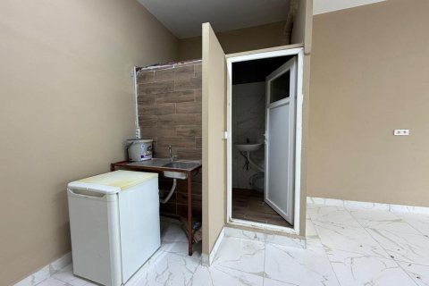 Butikk i Alanya, Antalya, Tyrkia Nr. 216321 - 10