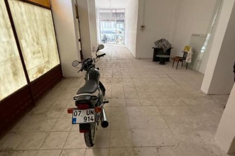 Продажа магазина в Аланье, Анталье, Турция, 63м2, №216319 – фото 3