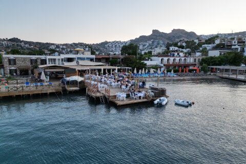 Villa  3+1  Bodrum, Muğla, Türkiye №212143 - 2