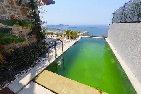 Villa  3+1  Bodrum, Muğla, Türkiye №212143 - 10
