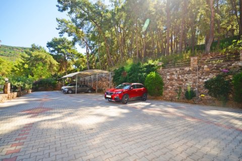 2+1 Lägenhet i Alanya, Antalya, Turkiet Nr. 216492 - 25