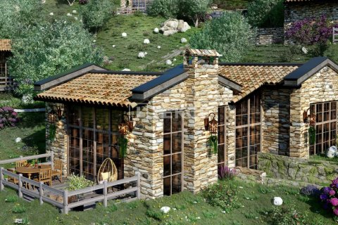 3+1 Villa  in Milas, Mugla, Turkey No. 107111