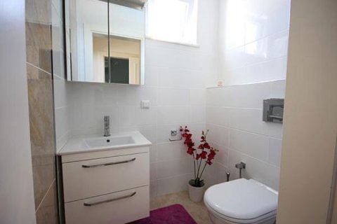 6+1 Villa  i Mahmutlar, Antalya, Tyrkia Nr. 219212 - 23