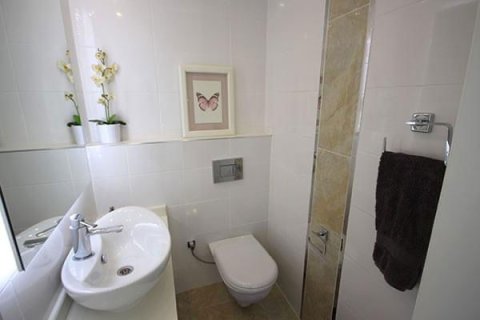 6+1 Villa  i Mahmutlar, Antalya, Tyrkia Nr. 219212 - 24