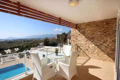 6+1 Villa  i Mahmutlar, Antalya, Tyrkia Nr. 219212 - 15