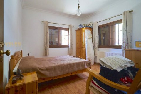 Продажа виллы в Лапте, Гирне, Северный Кипр 3 комн., 1000м2, №214350 – фото 18