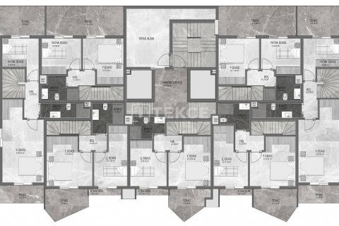 2+1 Penthouse  i Alanya, Antalya, Tyrkiet Nr. 53006 - 18