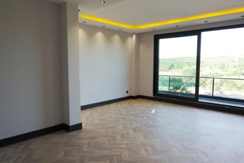 5+1 Villa i Istanbul, Tyrkiet Nr. 222652 - 6