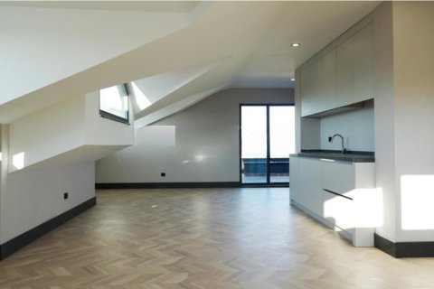 5+1 Villa i Istanbul, Tyrkiet Nr. 222652 - 11