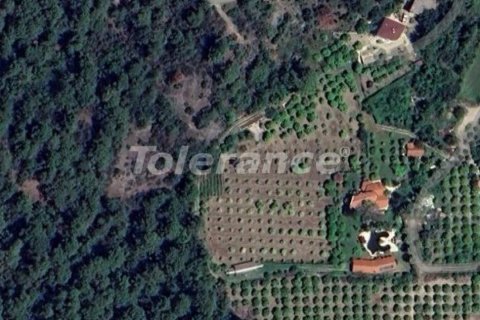 Земельный участок  13600м2 в Кемере, Анталья, Турция №133758