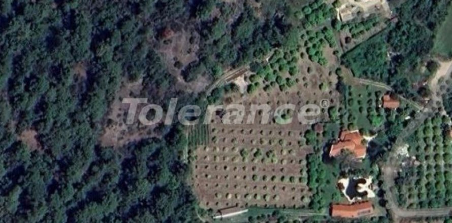 Земельный участок 13600м2 в Кемере, Анталья, Турция №133758