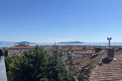 Daire 3+1 İstanbul, Türkiye №226701 - 8