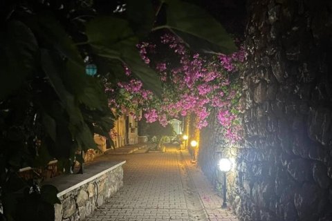 Villa in Tepe, Alanya, Antalya, Türkei Nr. 216280 - 17