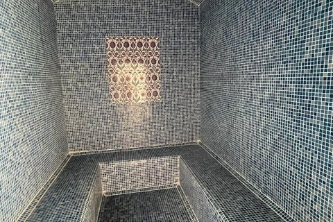 1+1 Wohnung in Mahmutlar, Antalya, Türkei Nr. 216336 - 7