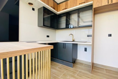 1+1 Wohnung in Mahmutlar, Antalya, Türkei Nr. 216334 - 7