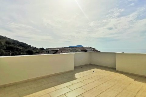 3+1 Lejlighed i Alanya, Antalya, Tyrkiet Nr. 215481 - 21