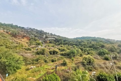 3+1 Lejlighed i Alanya, Antalya, Tyrkiet Nr. 215481 - 29