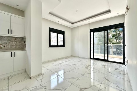 1+1 Apartment  in Alanya, Antalya, Turkey No. 224643