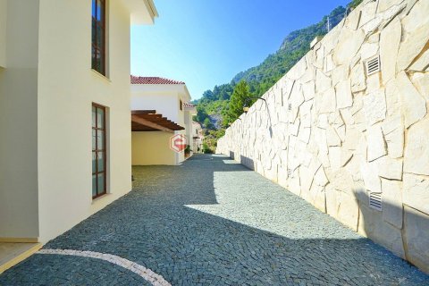 5+2 Villa  i Alanya, Antalya, Turkiet Nr. 102336 - 14