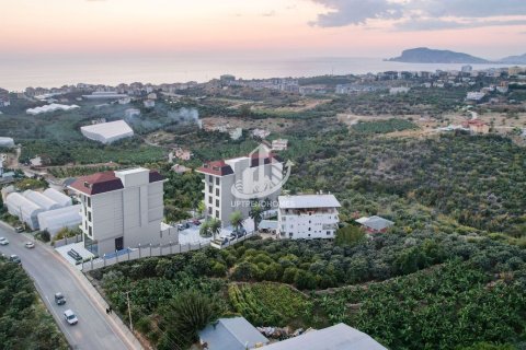 Продажа квартиры в Кестеле, Анталье, Турция 1+1, 55м2, №99208 – фото 13