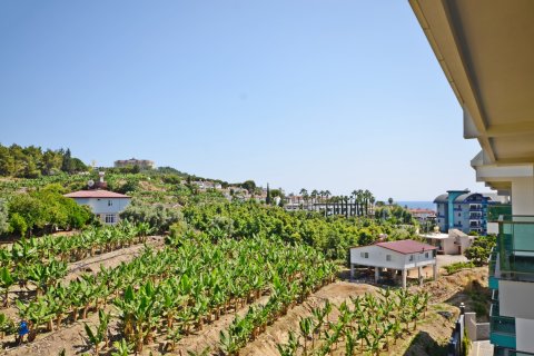 2+1 Lejlighed  i Alanya, Antalya, Tyrkiet Nr. 216734 - 13