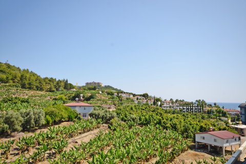 2+1 Lejlighed  i Alanya, Antalya, Tyrkiet Nr. 216734 - 22