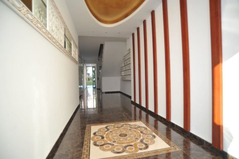 1+0 Lägenhet i Alanya, Antalya, Turkiet Nr. 225119 - 12