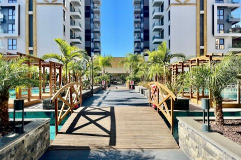 Apartment for rent in Mahmutlar, Antalya, Turkey, studio, 60m2, No. 225115 – photo 15