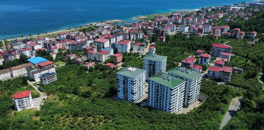 3+1 Apartment  in Arsin, Trabzon, Turkey No. 228514