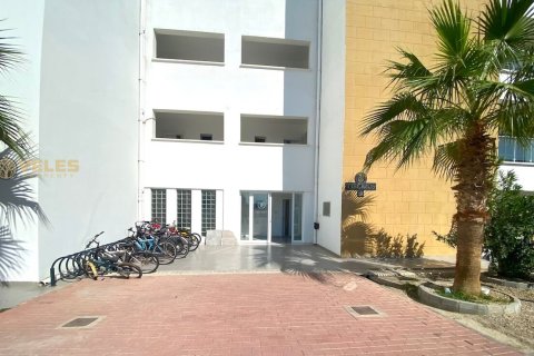 2+1 Wohnung  in Long Beach, Iskele,  Nr. 214179 - 19