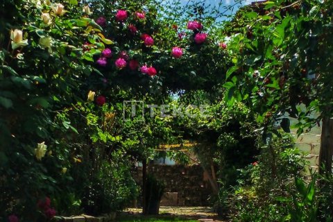 Villa for sale  in Milas, Mugla, Turkey, 4 bedrooms, 150m2, No. 226275 – photo 8