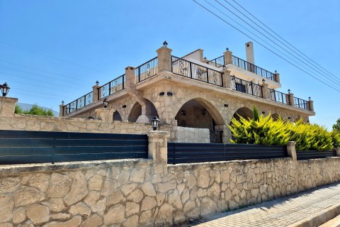 Продажа виллы в Гирне, Северный Кипр 6 комн., 400м2, №228824 – фото 3