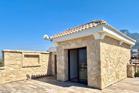 Продажа виллы в Гирне, Северный Кипр 6 комн., 400м2, №228824 – фото 17